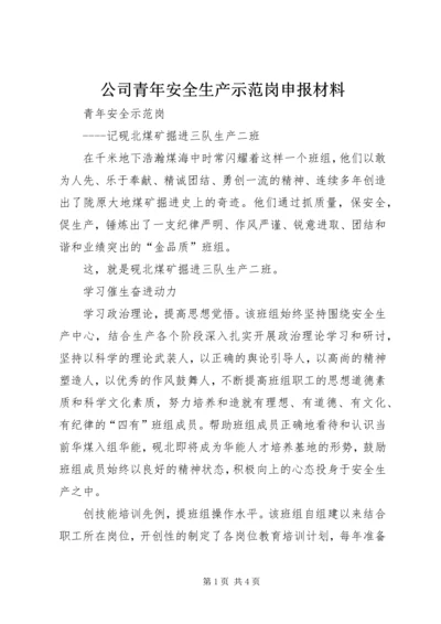 公司青年安全生产示范岗申报材料.docx