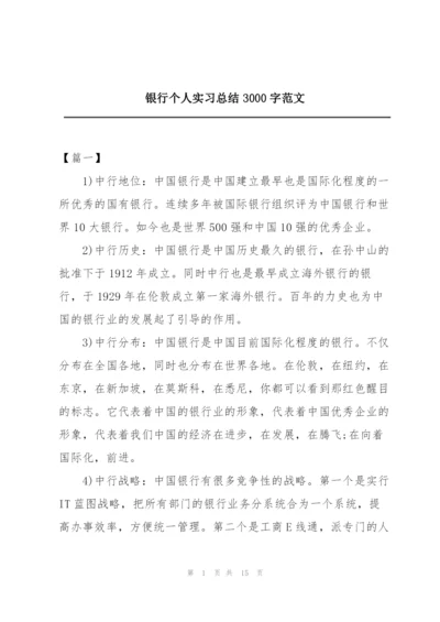 银行个人实习总结3000字范文.docx