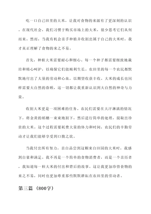吃一口自己田里的大米感想
