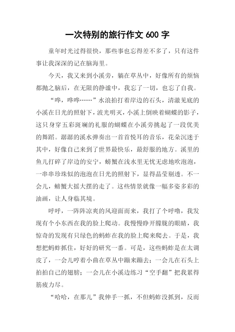 一次特别的旅行作文600字.docx