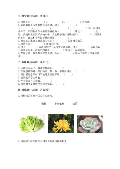 教科版科学一年级上册第一单元《植物》测试卷【b卷】.docx