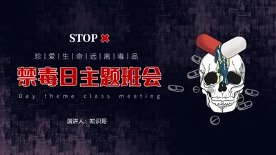 守护生命安全国际禁毒日通用PPT模板