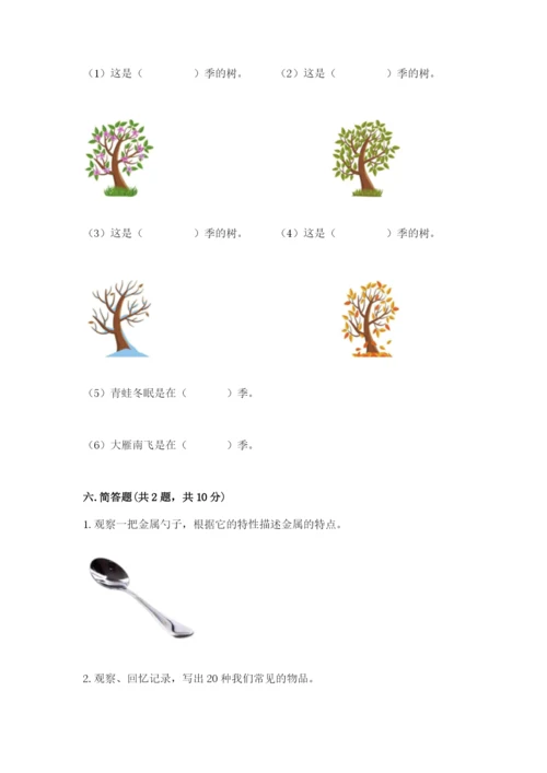 教科版二年级上册科学期末测试卷带答案（黄金题型）.docx