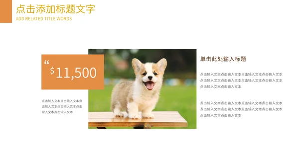 可爱宠物店猫猫狗狗通用PPT模板