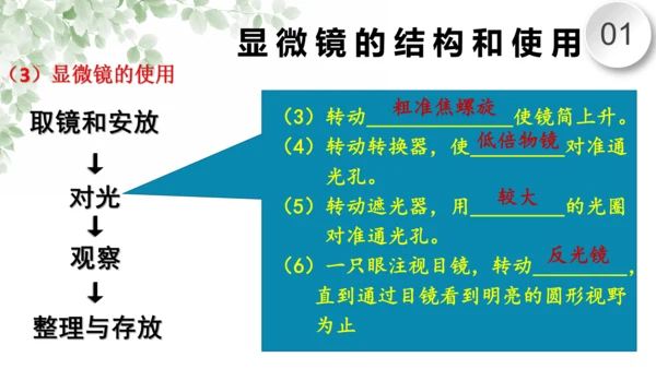 第一章 细胞是生命活动的基本单位（复习课件）-2023-2024学年七年级生物上学期期末复习知识梳理