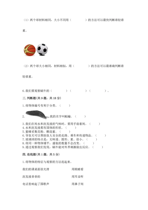 教科版一年级下册科学期末测试卷精品【综合题】.docx