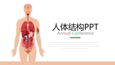 简约大气医疗人体结构动态PPT
