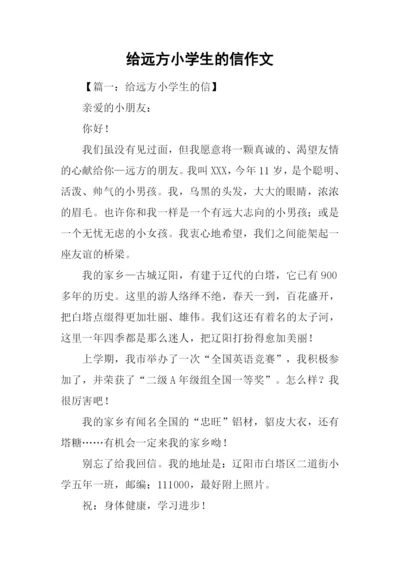 给远方小学生的信作文.docx