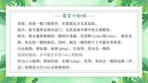 要是你在野外迷了路小清新二年级语文下册PPT小学语文二年级小学语文二年级下册课件