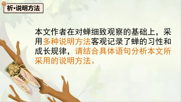 21《蝉》课件