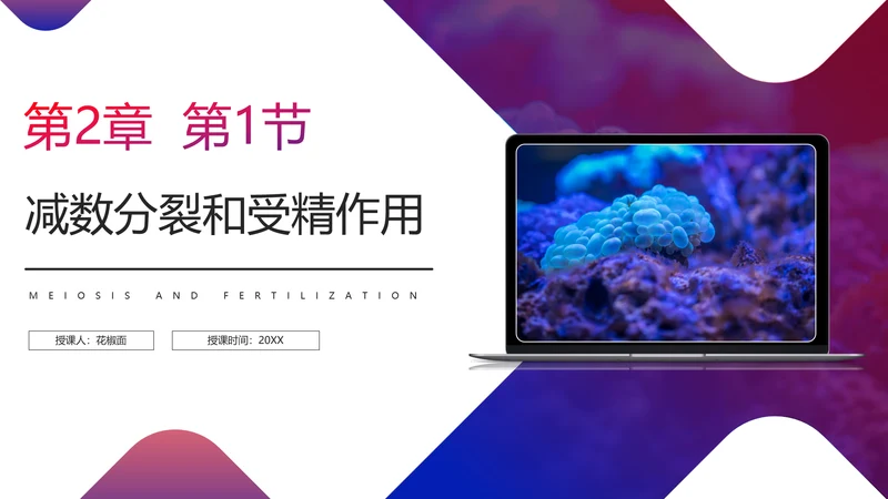 初高中生物课减数分裂作用PPT教学课件