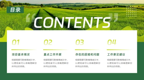 乡村振兴项目工作报告通用PPT模板