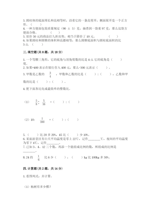 焦作市小升初数学测试卷一套.docx