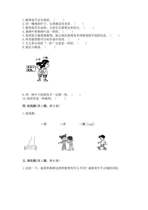 教科版小学一年级上册科学期末测试卷含答案ab卷.docx