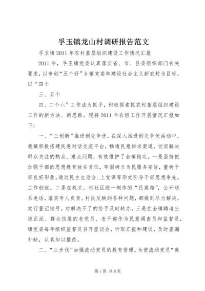 孚玉镇龙山村调研报告范文 (3).docx