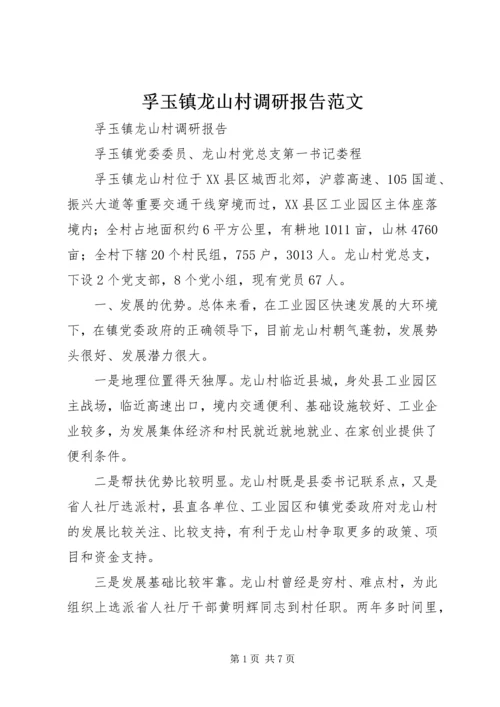 孚玉镇龙山村调研报告范文.docx