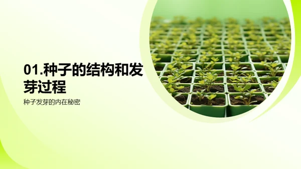 植物的奥秘世界