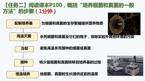 人教版生物七年级上册2.3.1《微生物的分布》课件(共22张PPT)+视频素材