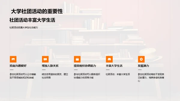 深度解析大学教育