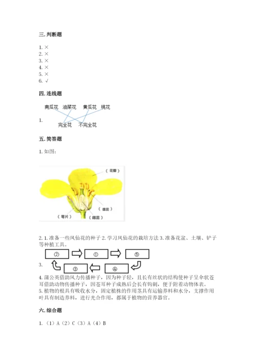 科学四年级下册第一单元植物的生长变化测试卷【能力提升】.docx