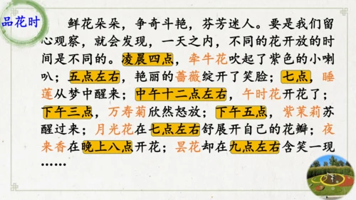 13《花钟》（课件）