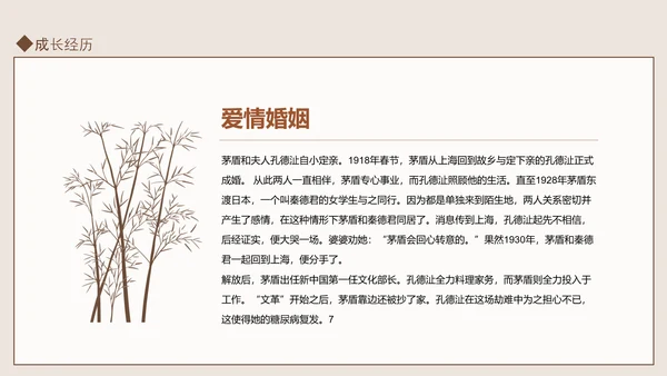 知名现代作家茅盾人物介绍PPT课件模板