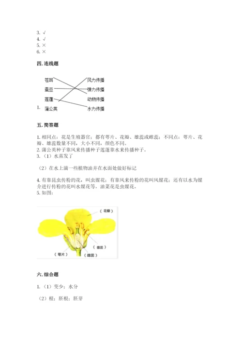 教科版四年级下册科学第一单元《植物的生长变化》测试卷精品【必刷】.docx