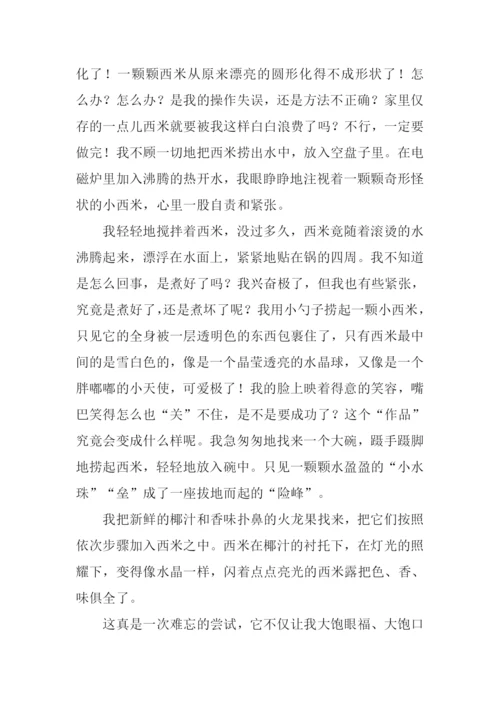 一次难忘的尝试作文600字.docx