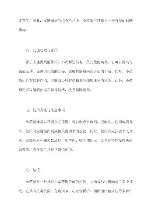 小蒺藜的功效与作用