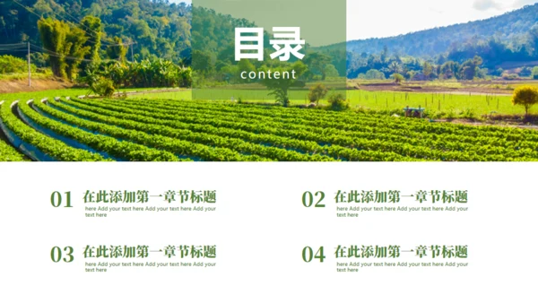 乡村振兴精准扶贫，特色农业项目计划书通用PPT模板