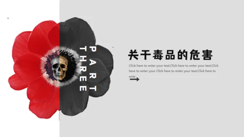 青少年禁毒宣传安全教育通用PPT模板