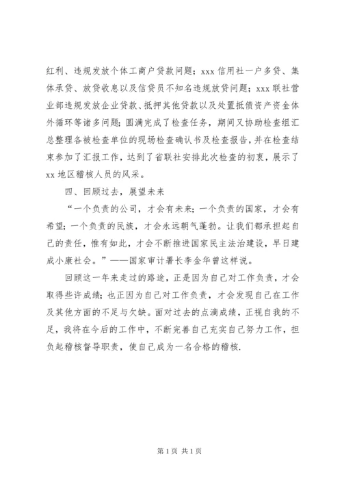 稽核员个人工作总结.docx