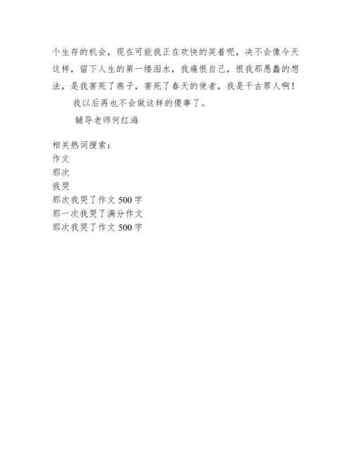 那次我哭了作文500字.docx