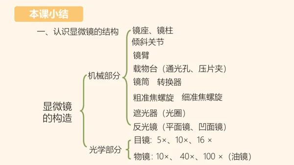 2.1.1练习使用显微镜课件2023--2024学年人教版生物七年级上册(共32张PPT)