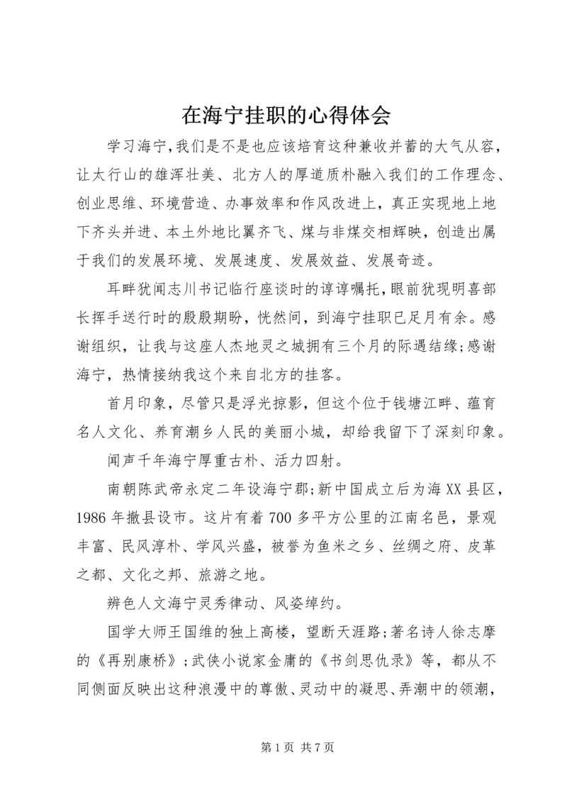 在海宁挂职的心得体会.docx