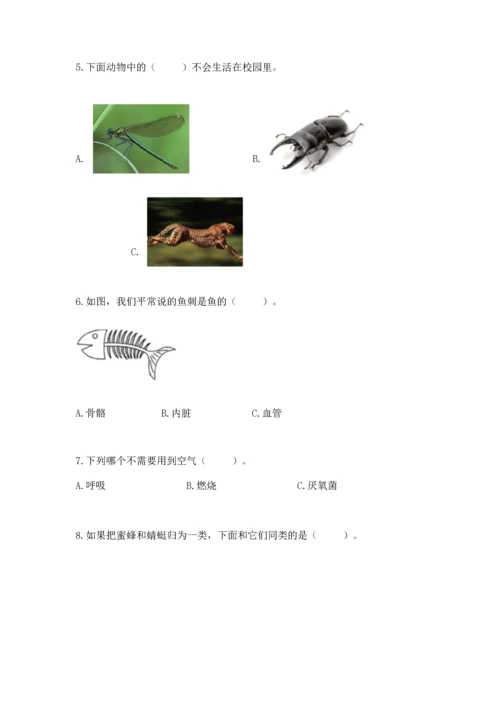 教科版一年级下册科学期末测试卷及精品答案.docx