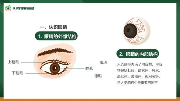 眼保健操爱护眼睛保护视力通用PPT模板