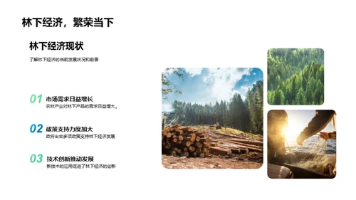 林下经济探析