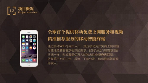 轻奢质感商业项目计划书通用PPT模板