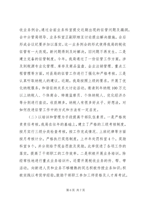 国税税务自查报告范文.docx