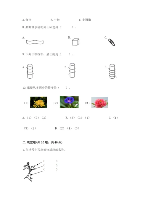 教科版一年级上册科学期末测试卷含解析答案.docx