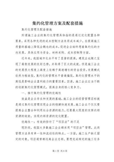 集约化管理方案及配套措施.docx