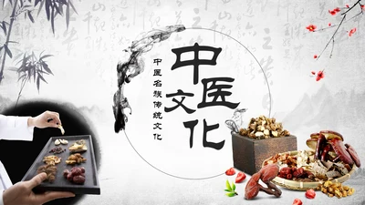 传统中医学中医院中医文化中草药PPT模板