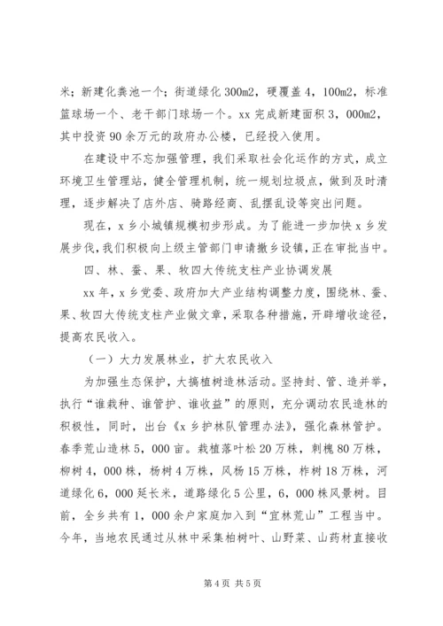 乡镇某年工作总结及某年工作安排.docx