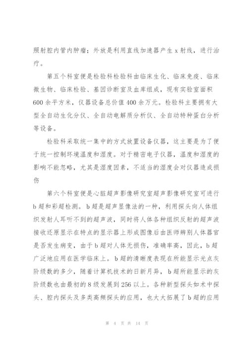 年度实习报告格式总结模板.docx