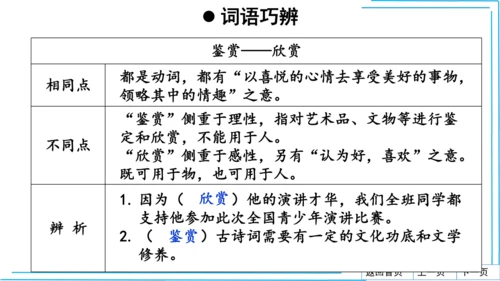 七上语文期中期末复习2_3词语运用每课晨读 课件(共47张PPT)