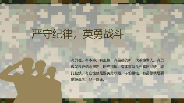 迷彩风部队军事个人工作总结汇报PPT