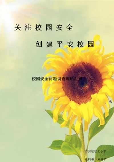 校园安全问题调查调研研究报告.docx