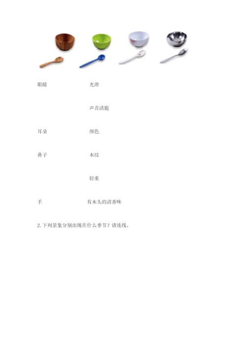 教科版科学二年级上册《期末测试卷》含答案【实用】.docx