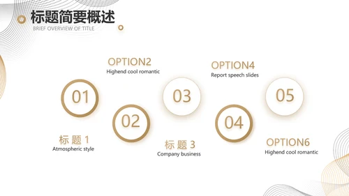 简约大气公司产品介绍宣传通用PPT